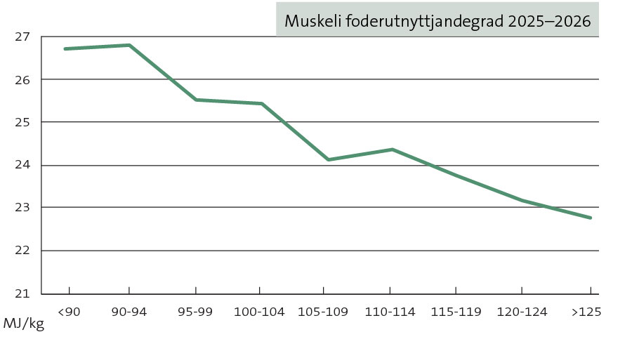 Muskeli foderutnyttjandegrad Muskeli foderutnyttjandegrad