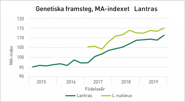 Aktuellt - MA-index M