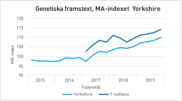 Aktuellt - MA-index Y