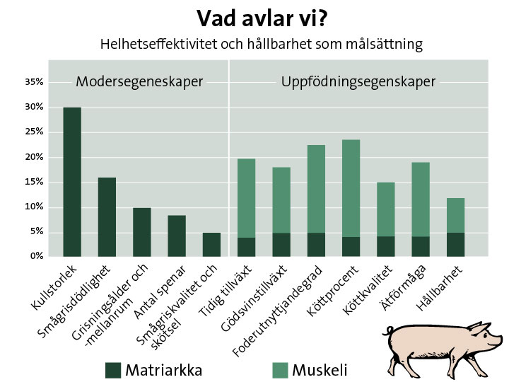 Vad avlar vi?