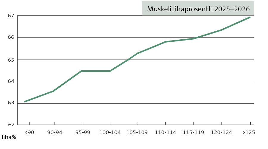 Muskeli lihaprosentti Muskeli lihaprosentti