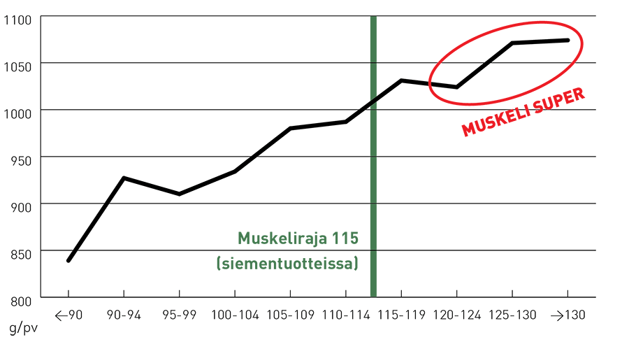 Muskeli päiväkasvu