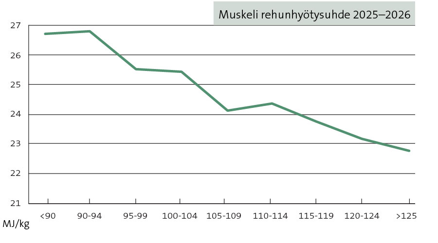 Muskeli rehuhyötysuhde Muskeli rehuhyötysuhde
