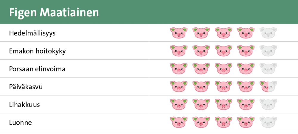 Figen Maatiainen