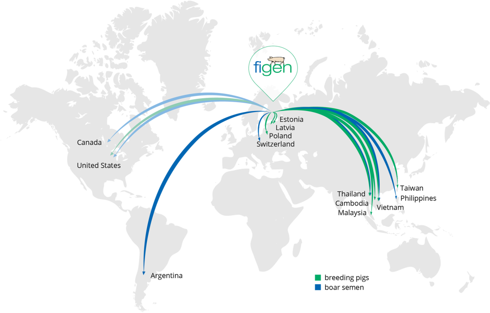 Figen Export Map 2025 Figen Export Map 2025